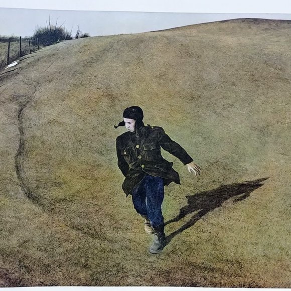 Andrew Wyeth Hardcover, 1968, Richard Meryman (Author), 2nd printing - Picture 9 of 16